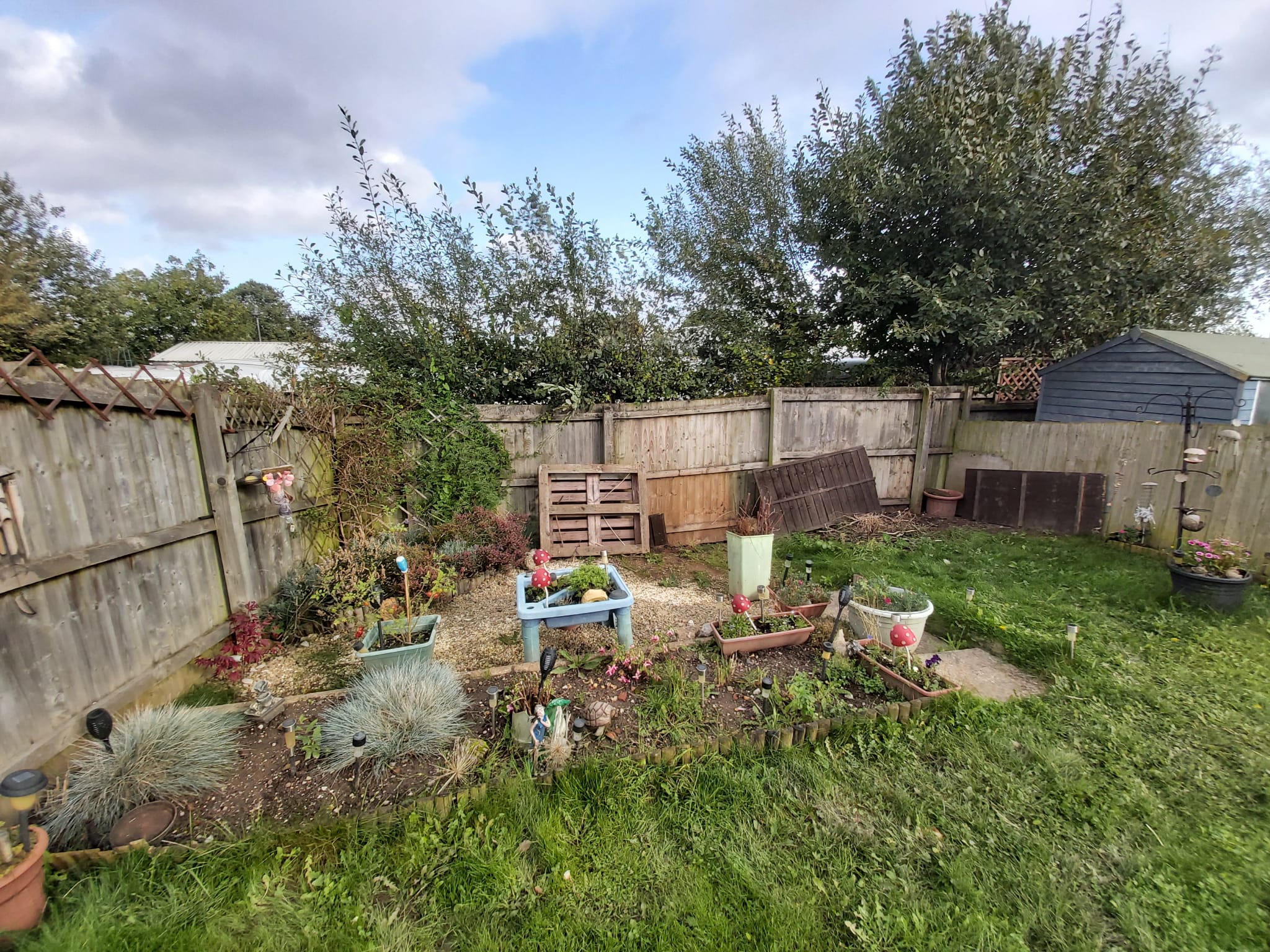 A tired boundary fence before replacement